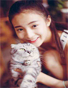 美人如画