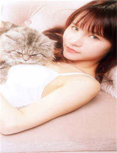 花样男团精彩合集